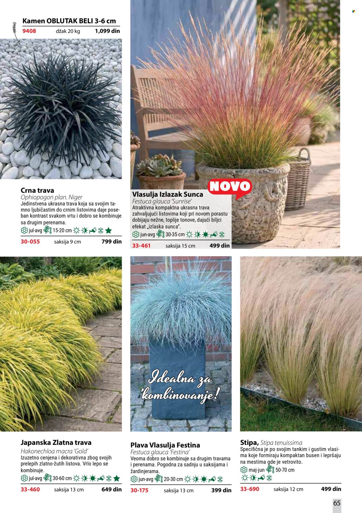 Flora Ekspres katalog. Stranica 65