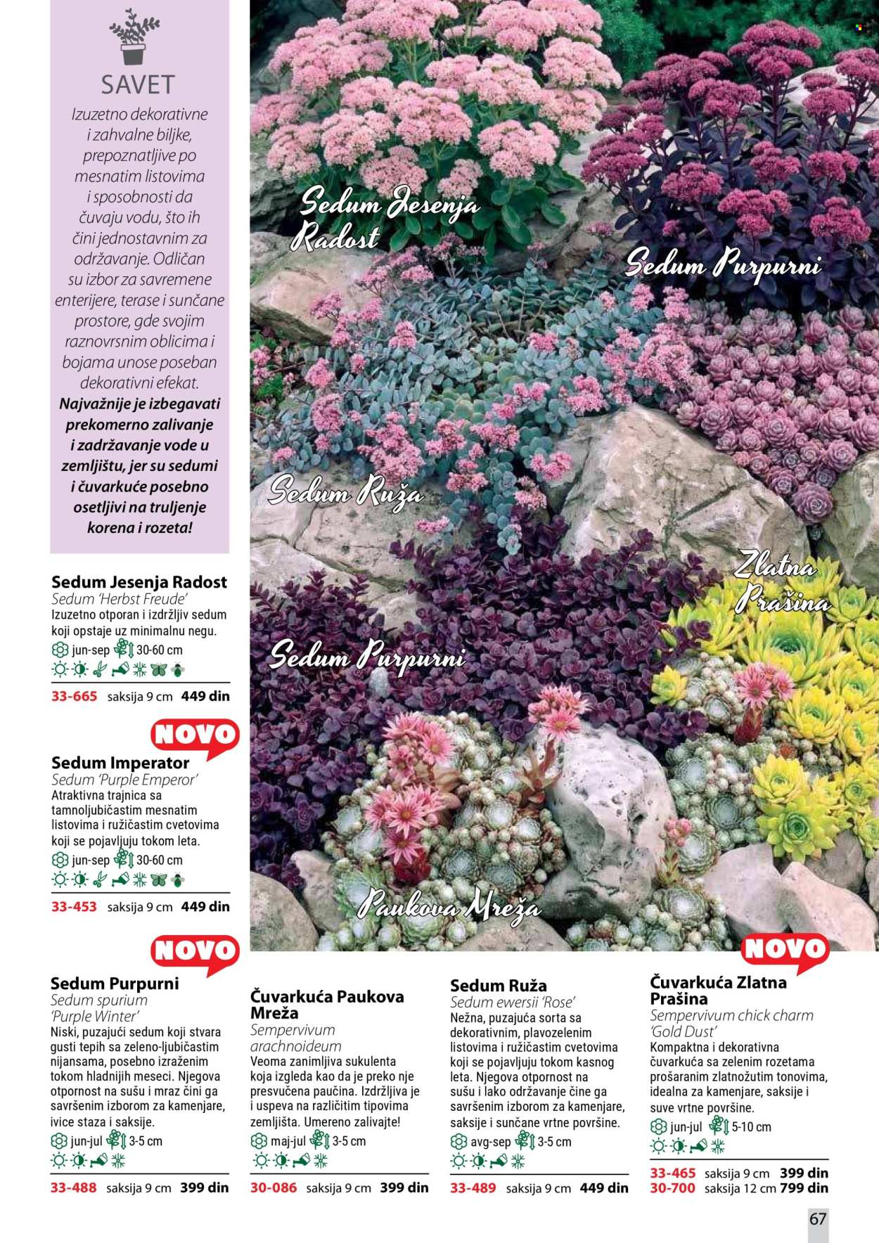 Flora Ekspres katalog. Stranica 67