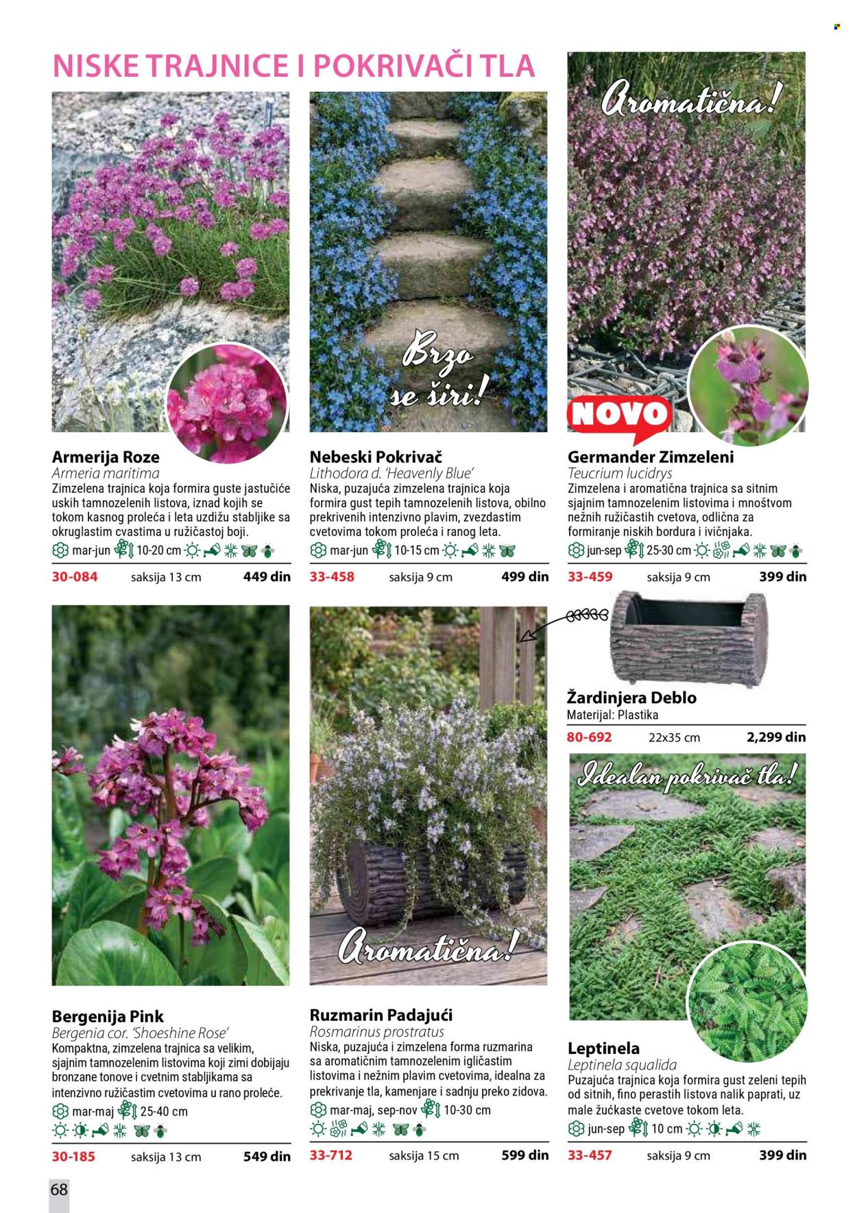 Flora Ekspres katalog. Stranica 68