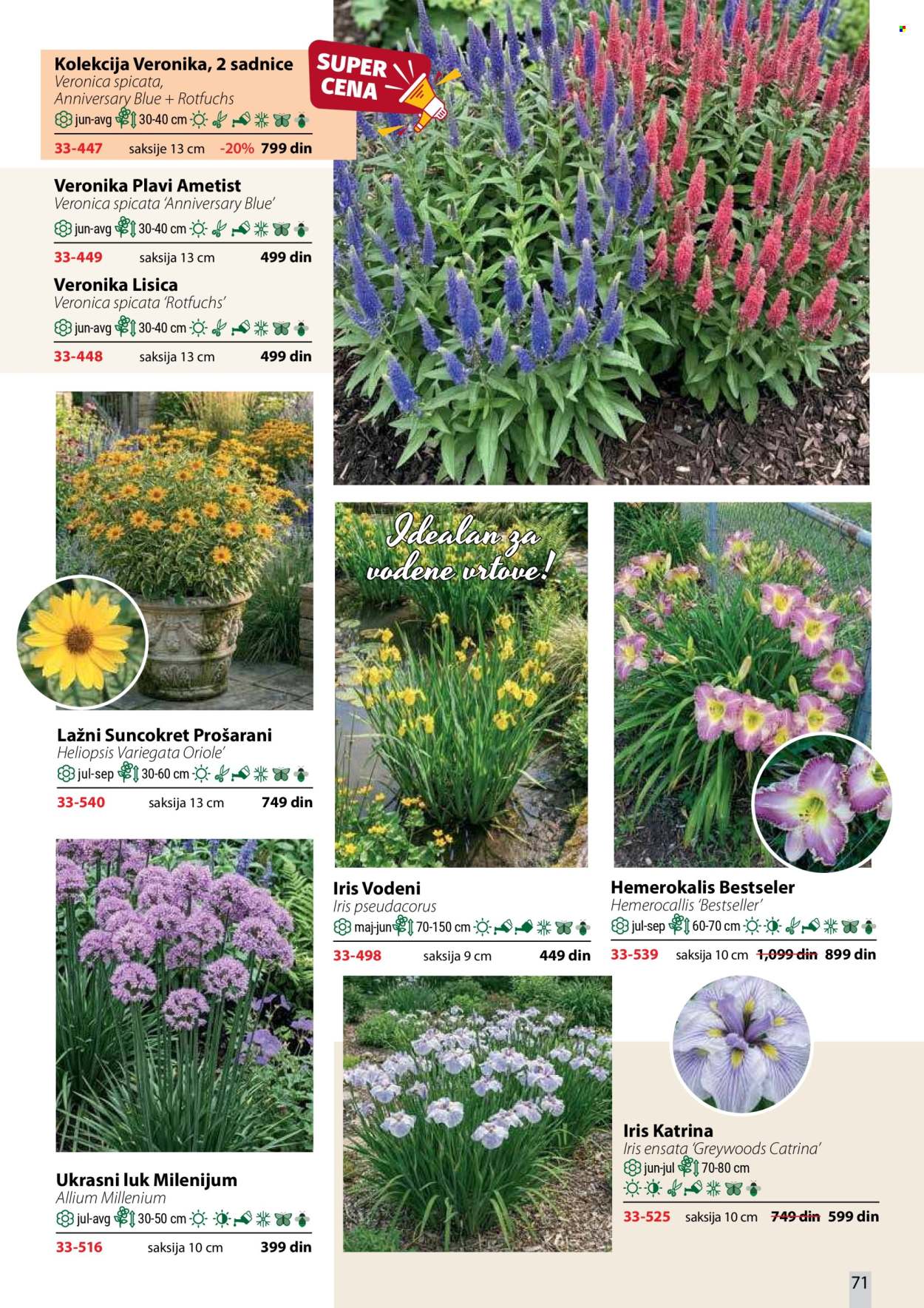 Flora Ekspres katalog. Stranica 71