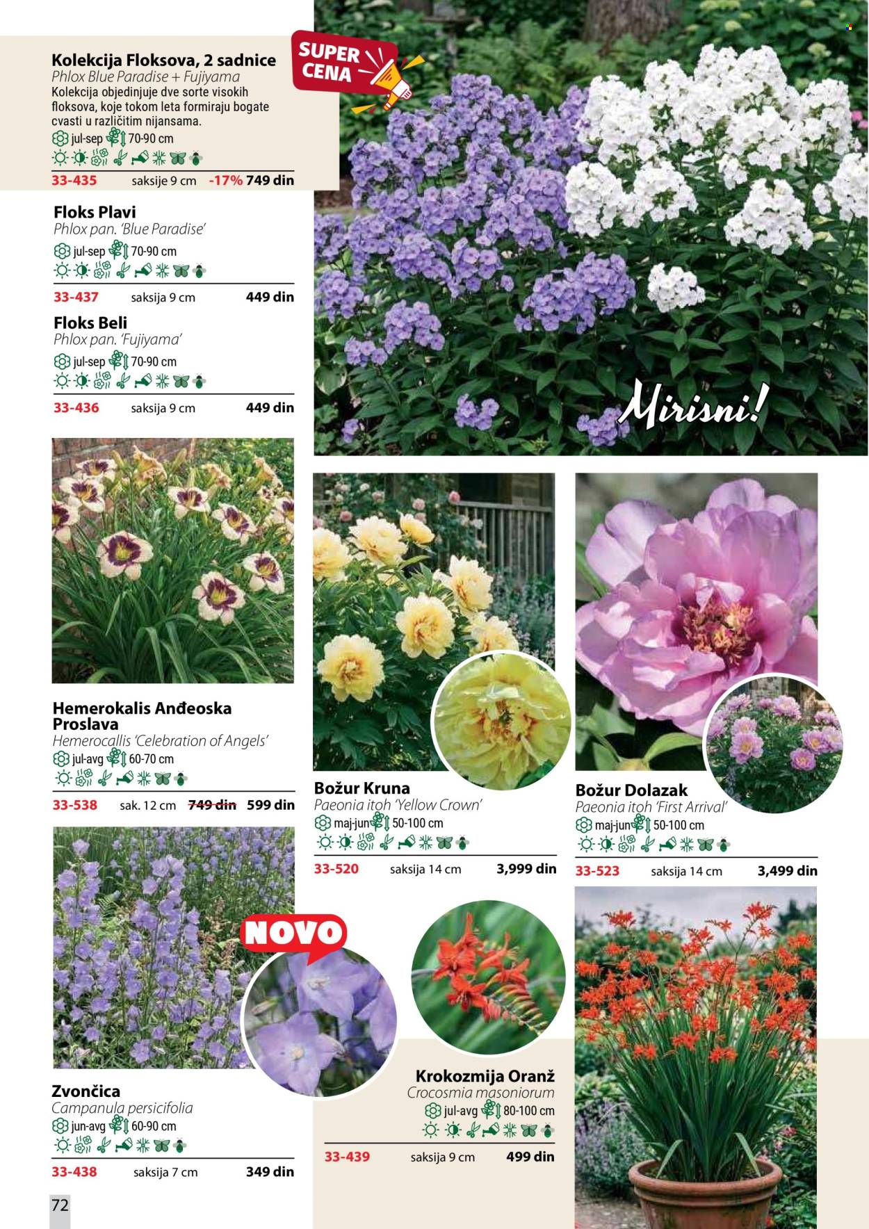 Flora Ekspres katalog. Stranica 72