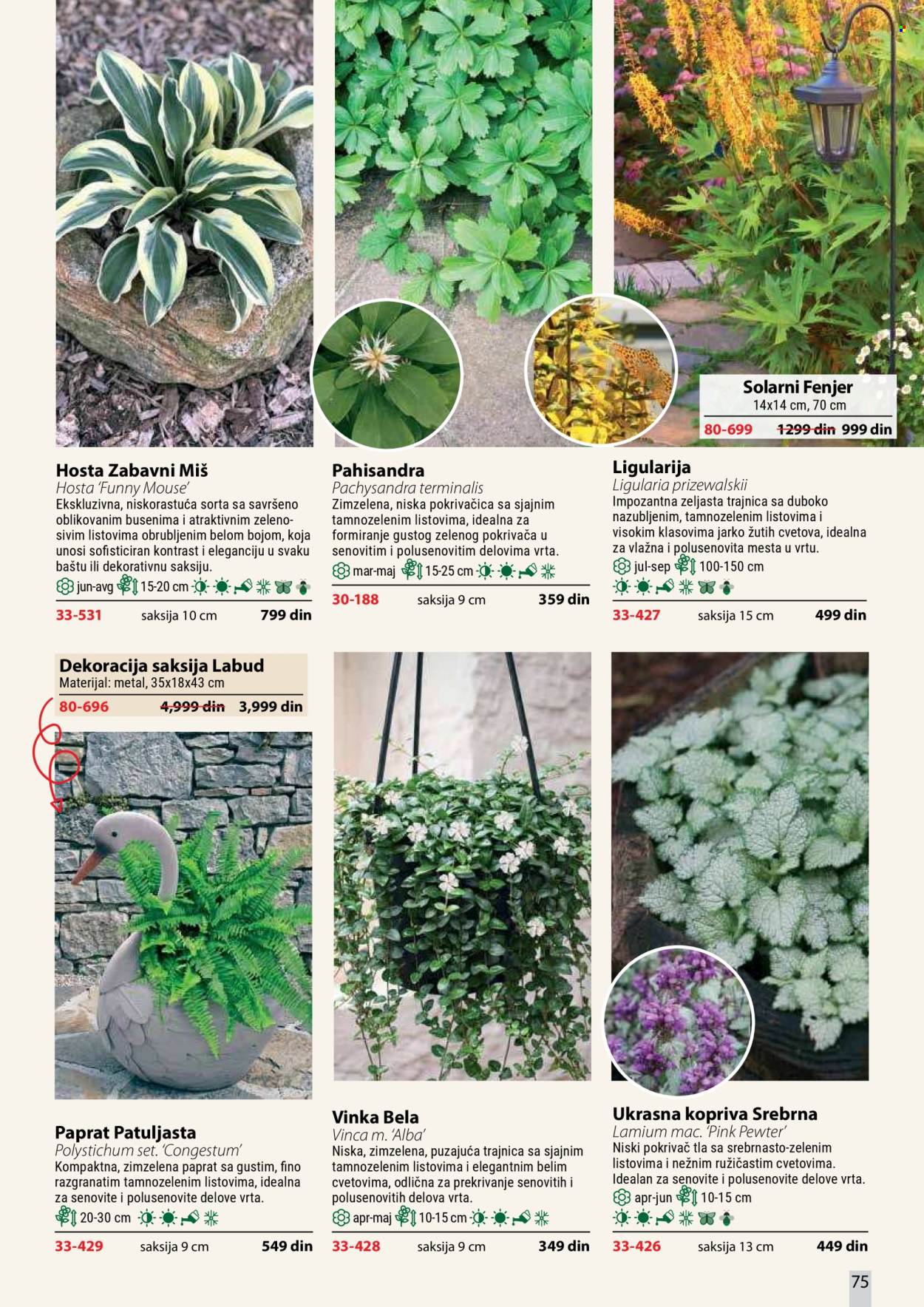 Flora Ekspres katalog. Stranica 75