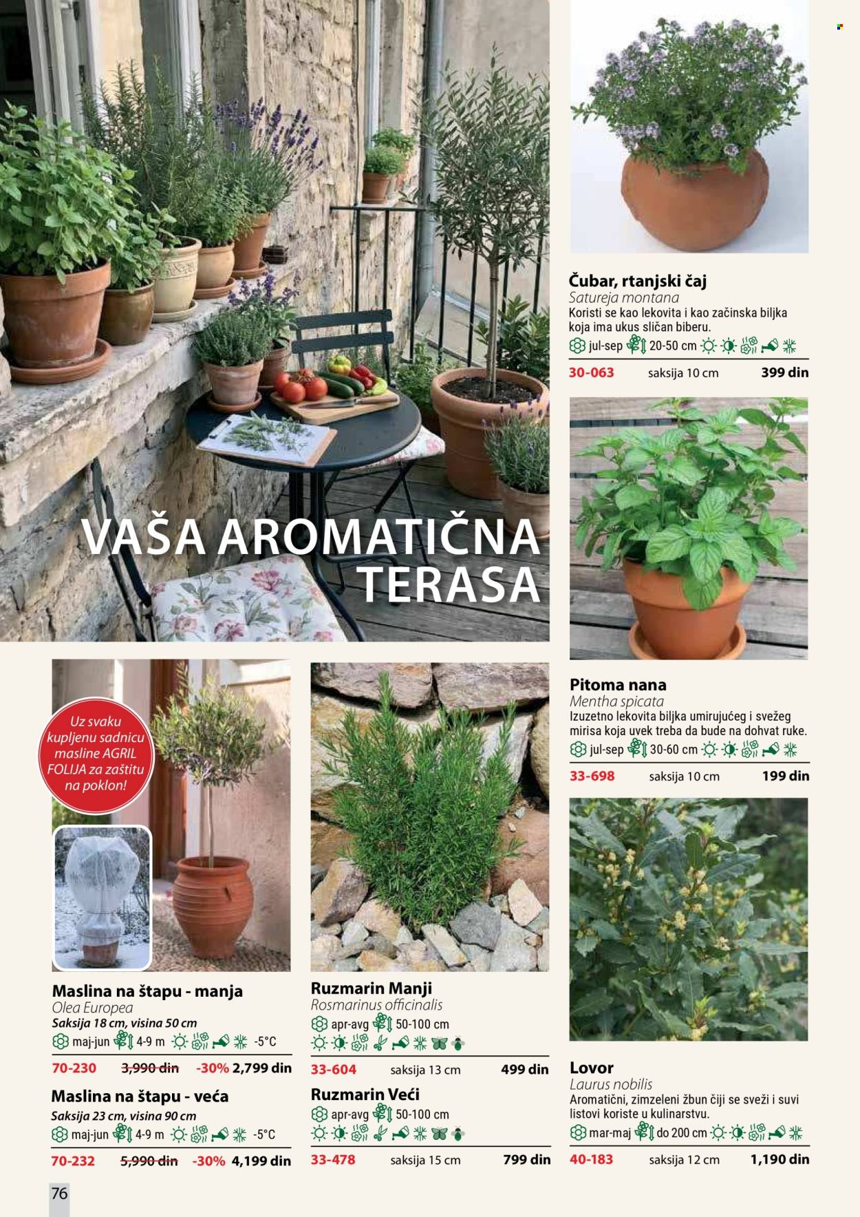 Flora Ekspres katalog. Stranica 76