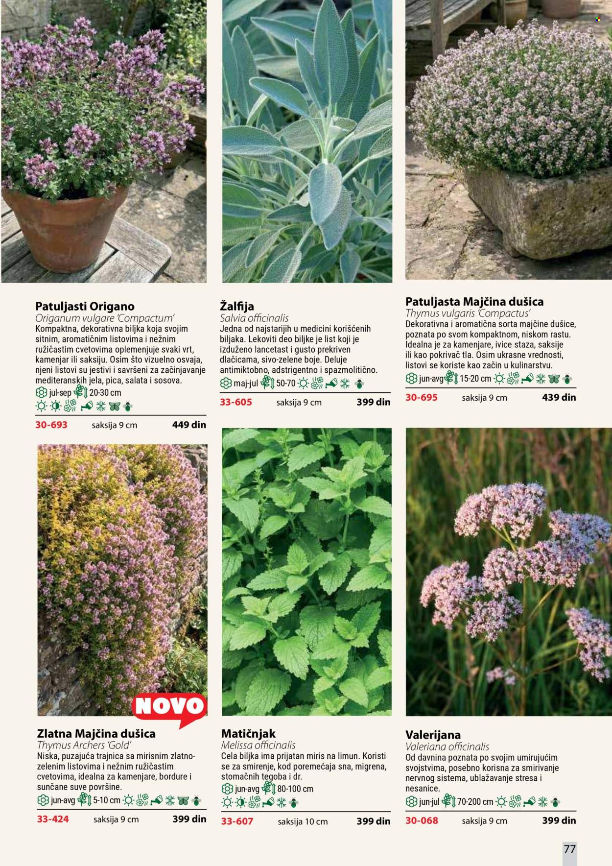 Flora Ekspres katalog. Stranica 77
