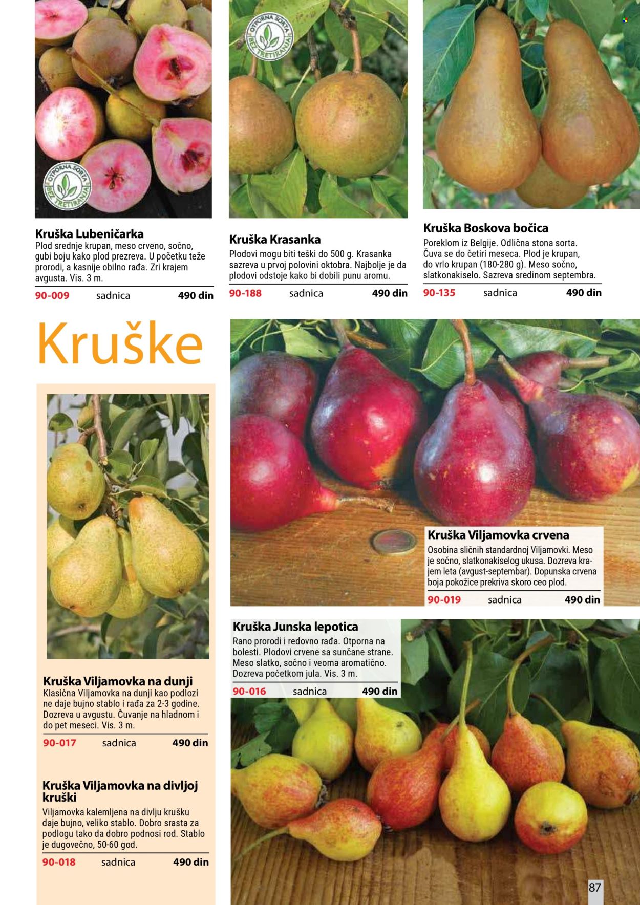 Flora Ekspres katalog. Stranica 87
