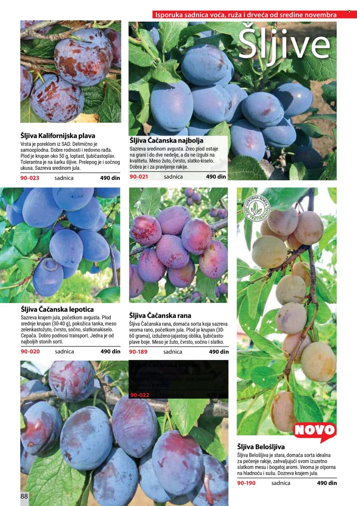 Flora Ekspres katalog. Stranica 88