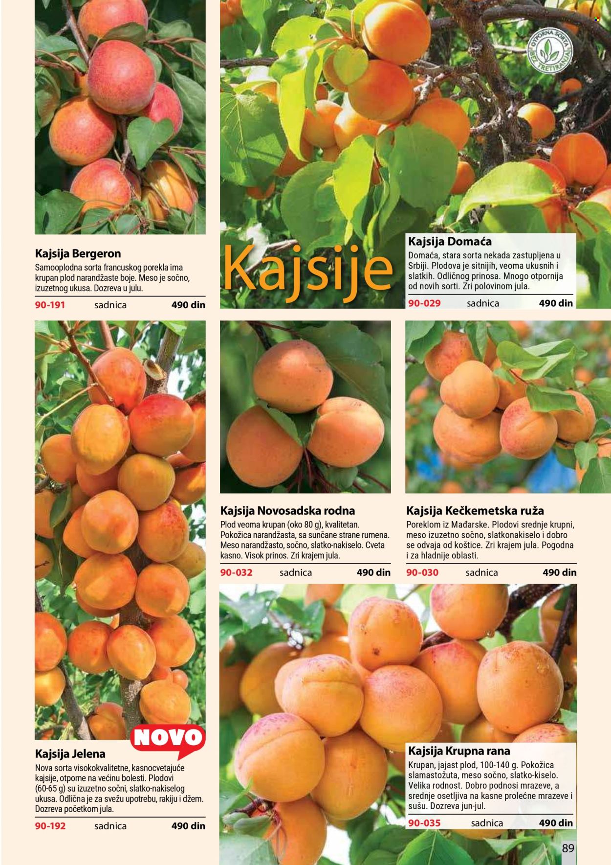 Flora Ekspres katalog. Stranica 89