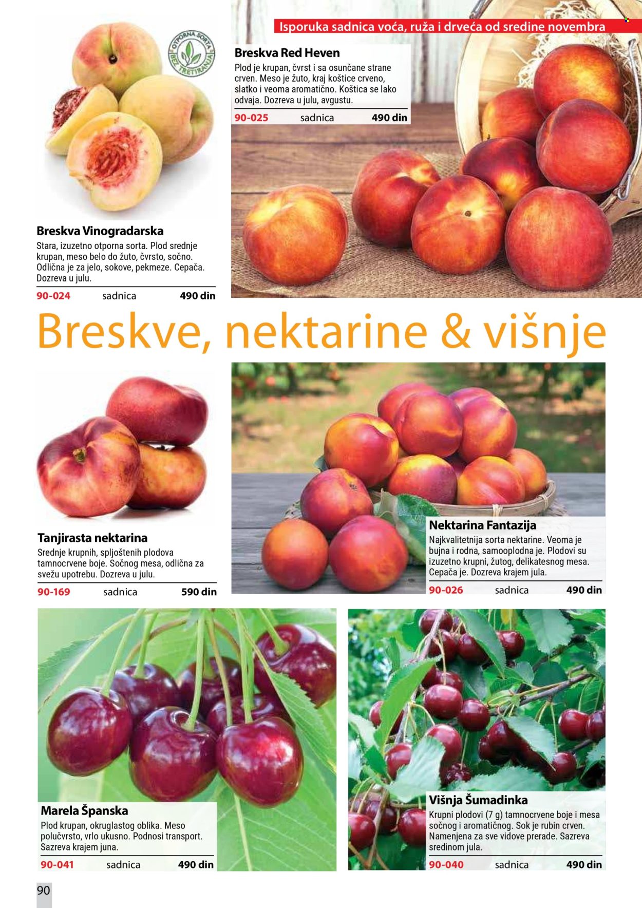 Flora Ekspres katalog. Stranica 90