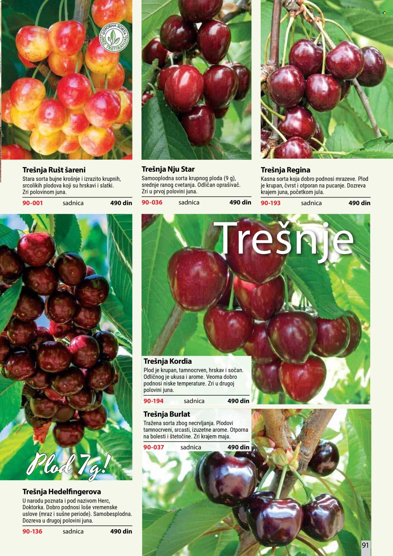 Flora Ekspres katalog. Stranica 91