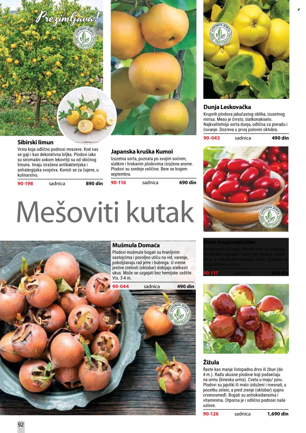Flora Ekspres katalog. Stranica 92
