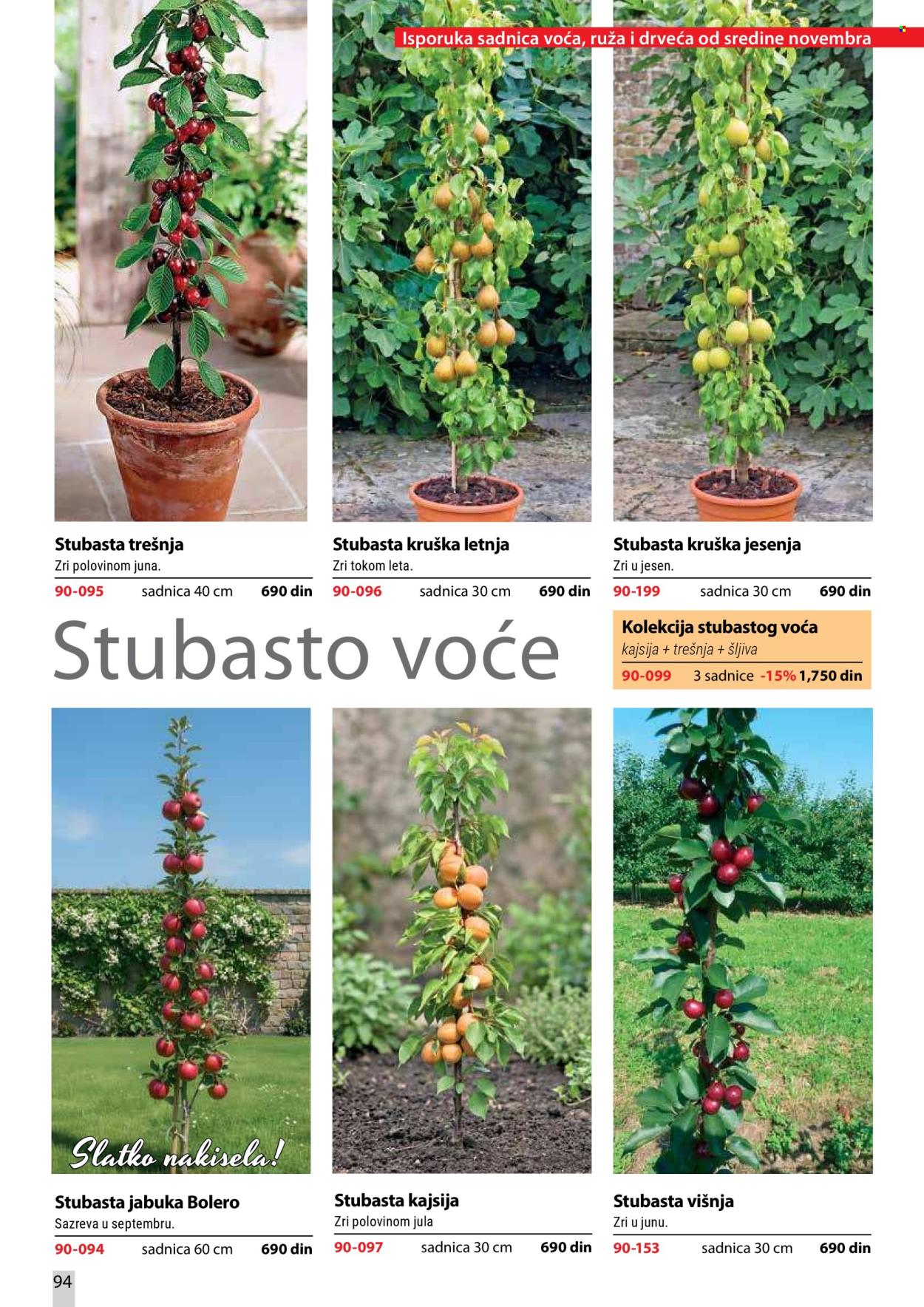 Flora Ekspres katalog. Stranica 94