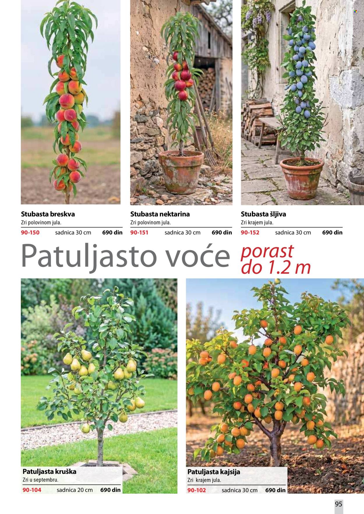 Flora Ekspres katalog. Stranica 95