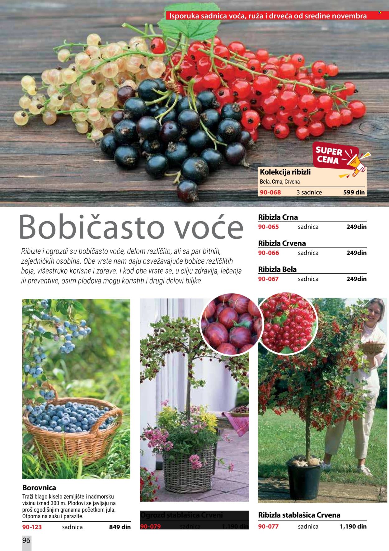 Flora Ekspres katalog. Stranica 96