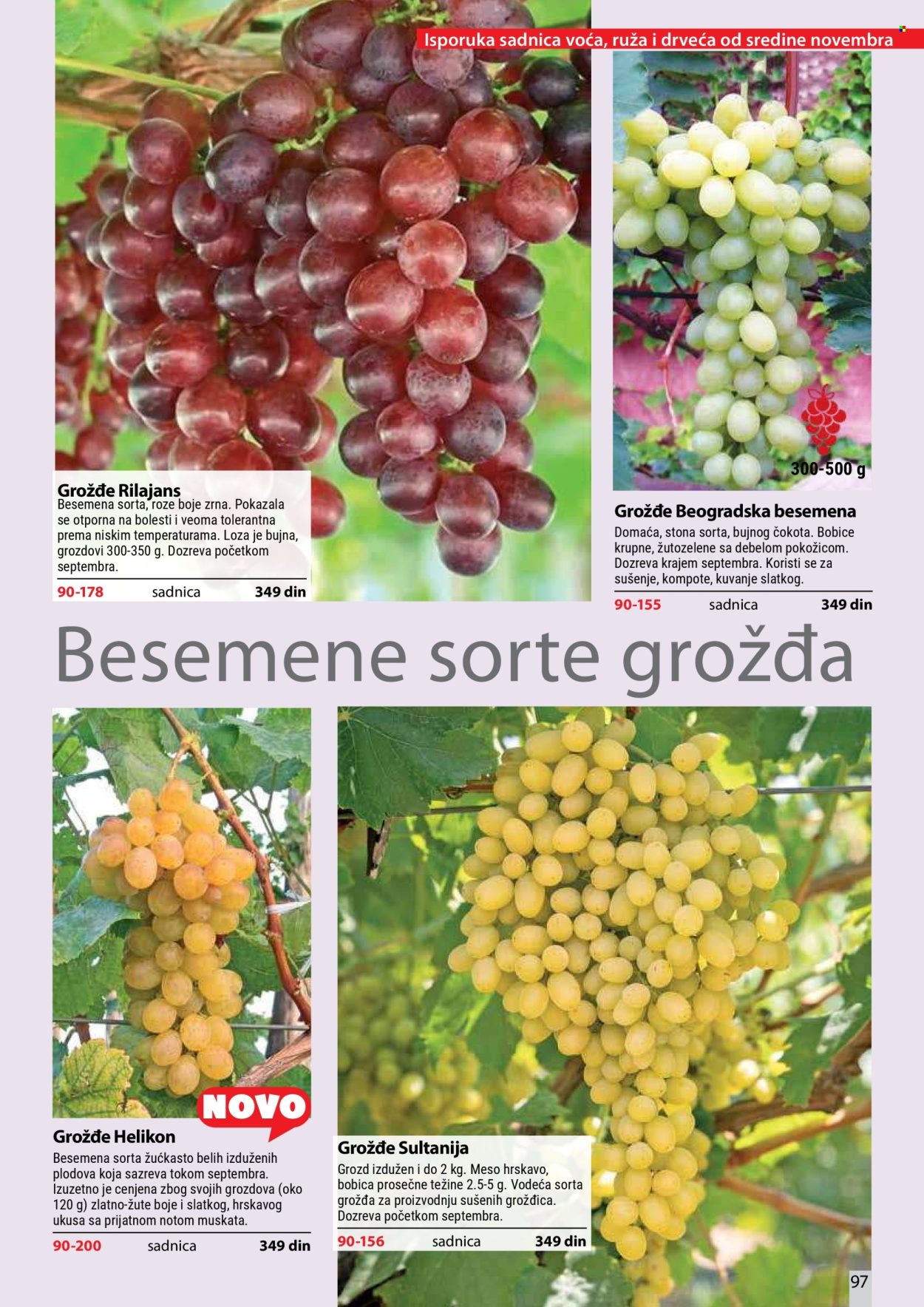 Flora Ekspres katalog. Stranica 97