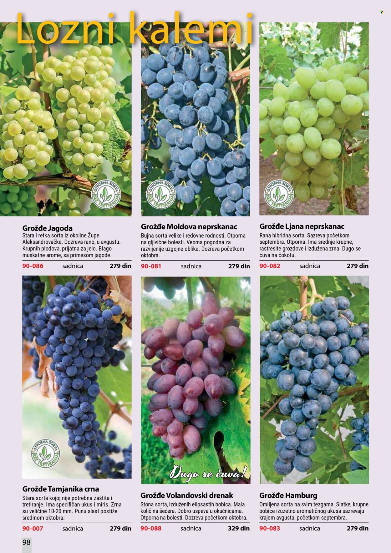 Flora Ekspres katalog. Stranica 98