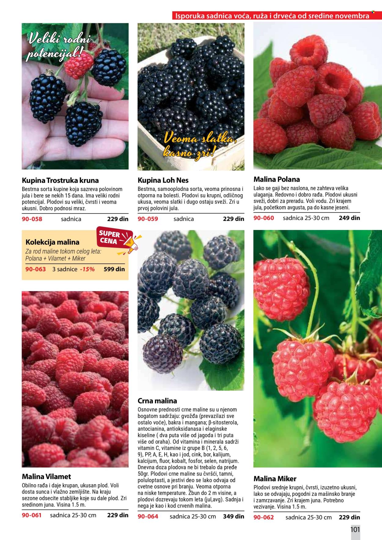 Flora Ekspres katalog. Stranica 101