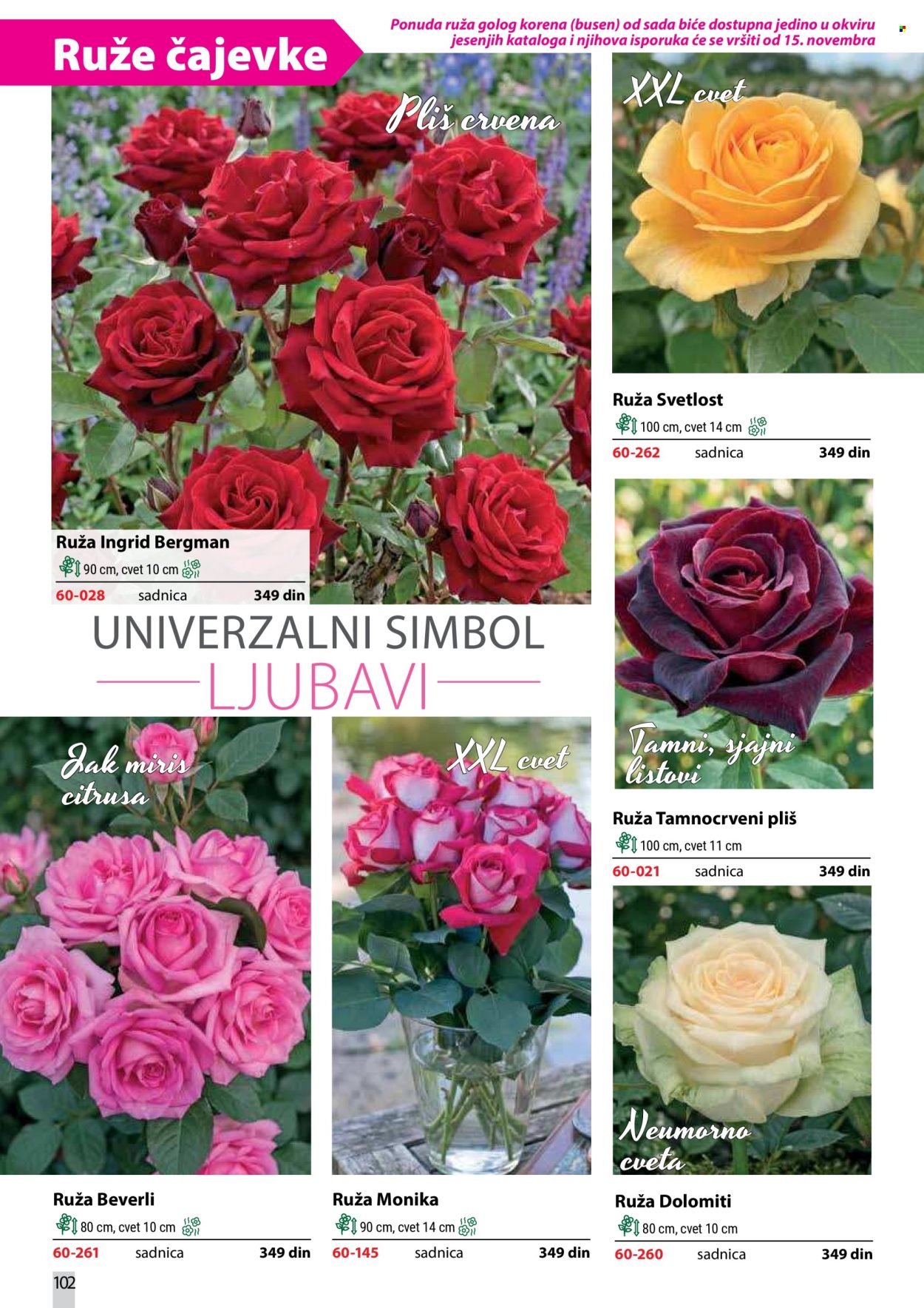 Flora Ekspres katalog. Stranica 102