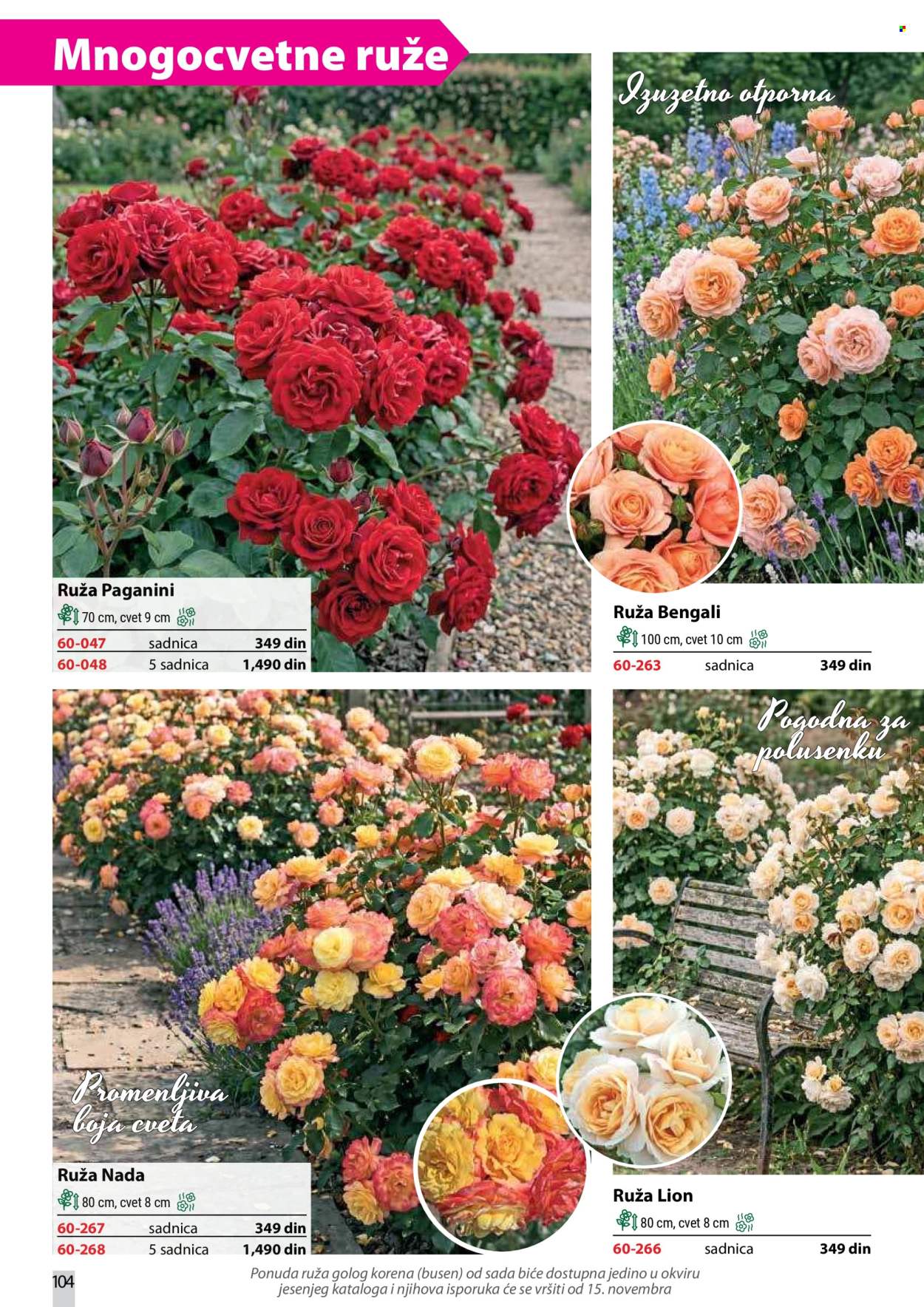 Flora Ekspres katalog. Stranica 104
