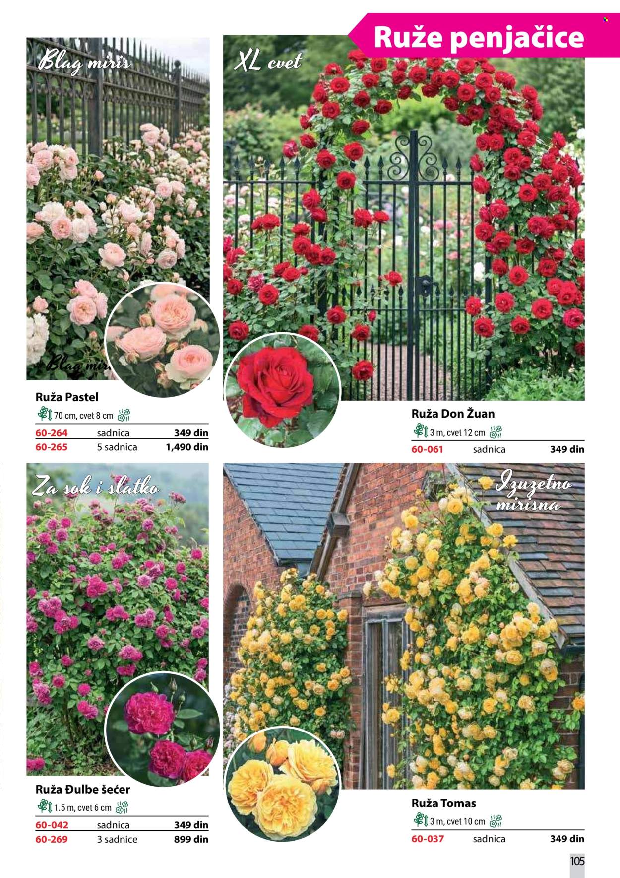 Flora Ekspres katalog. Stranica 105