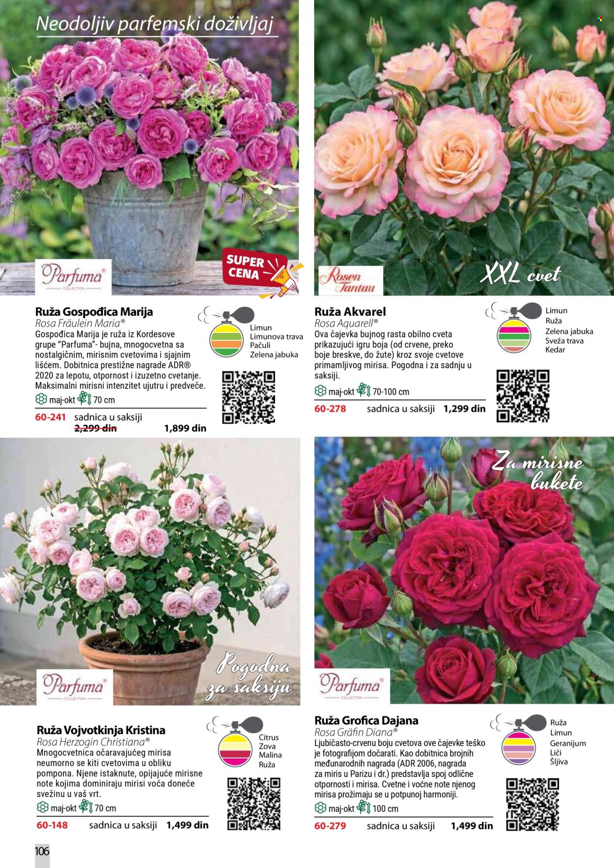 Flora Ekspres katalog. Stranica 106