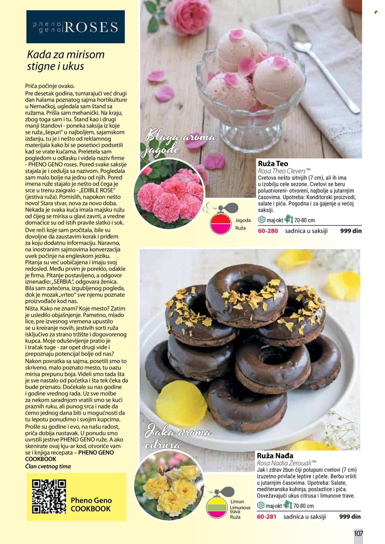 Flora Ekspres katalog. Stranica 107