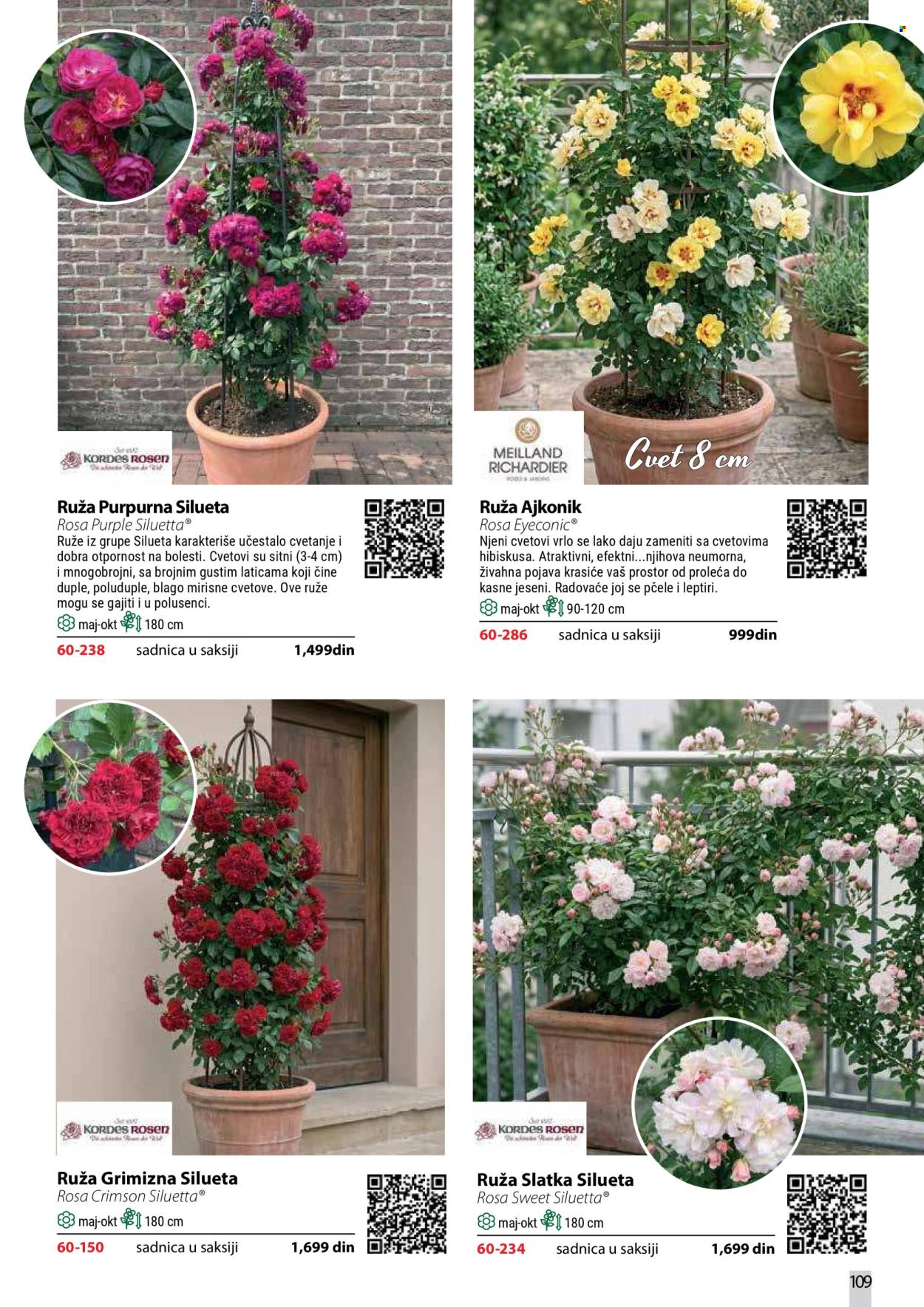 Flora Ekspres katalog. Stranica 109