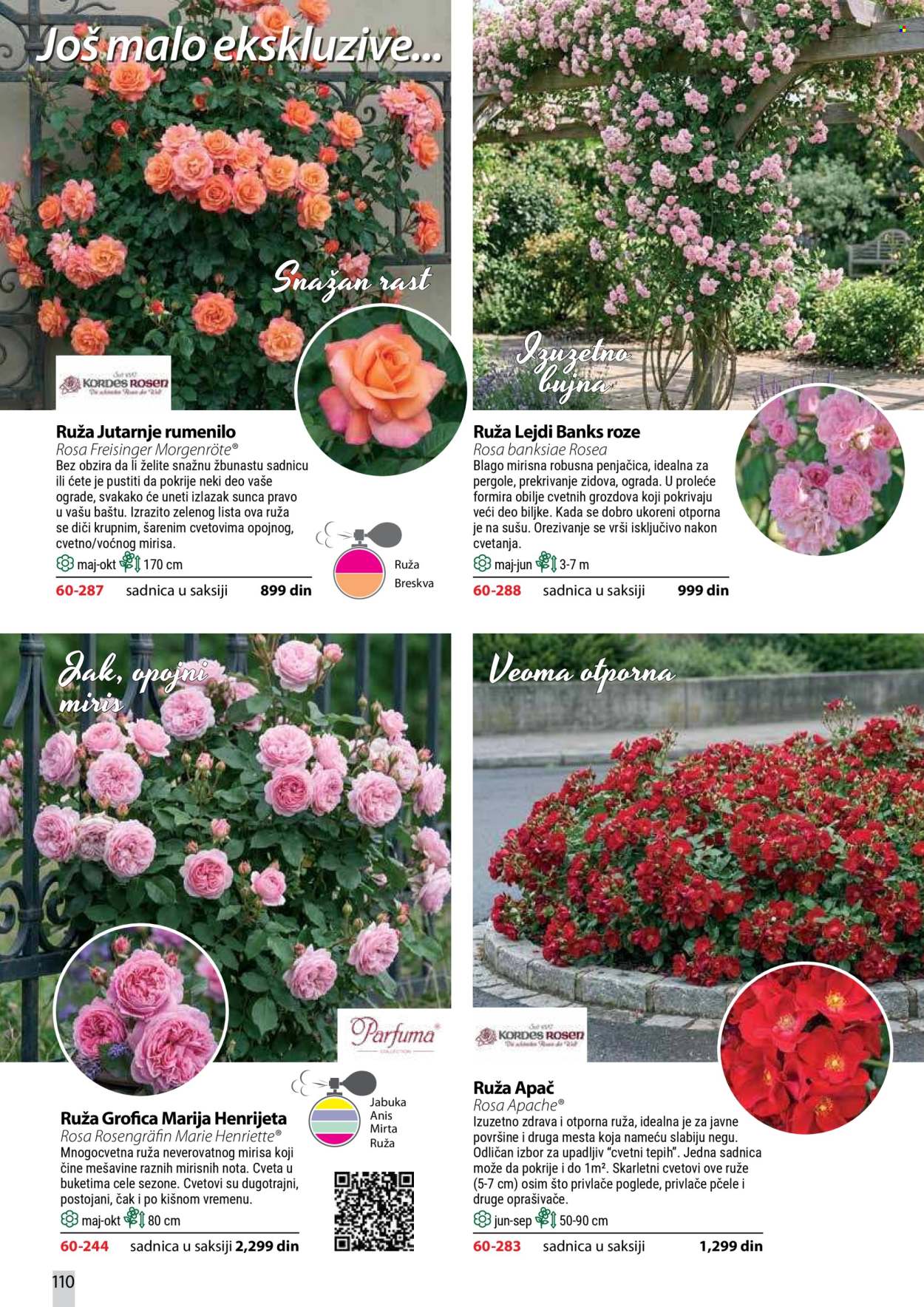 Flora Ekspres katalog. Stranica 110