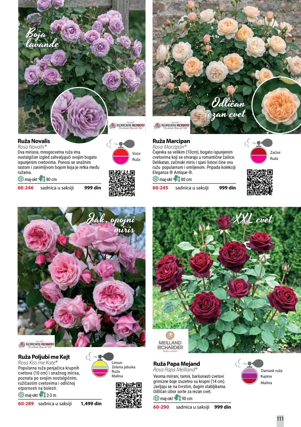 Flora Ekspres katalog. Stranica 111