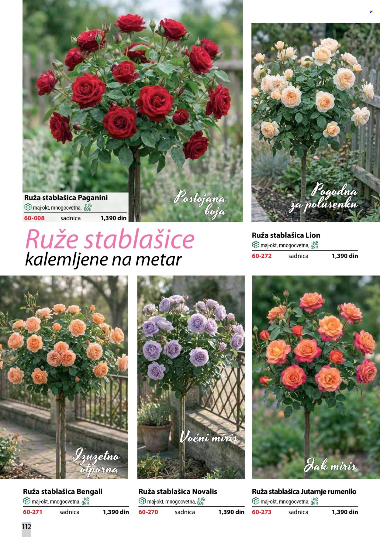 Flora Ekspres katalog. Stranica 112