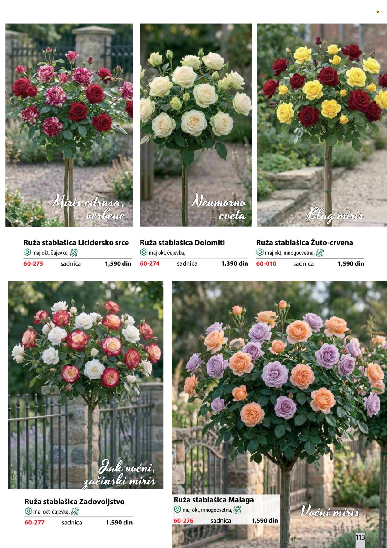 Flora Ekspres katalog. Stranica 113
