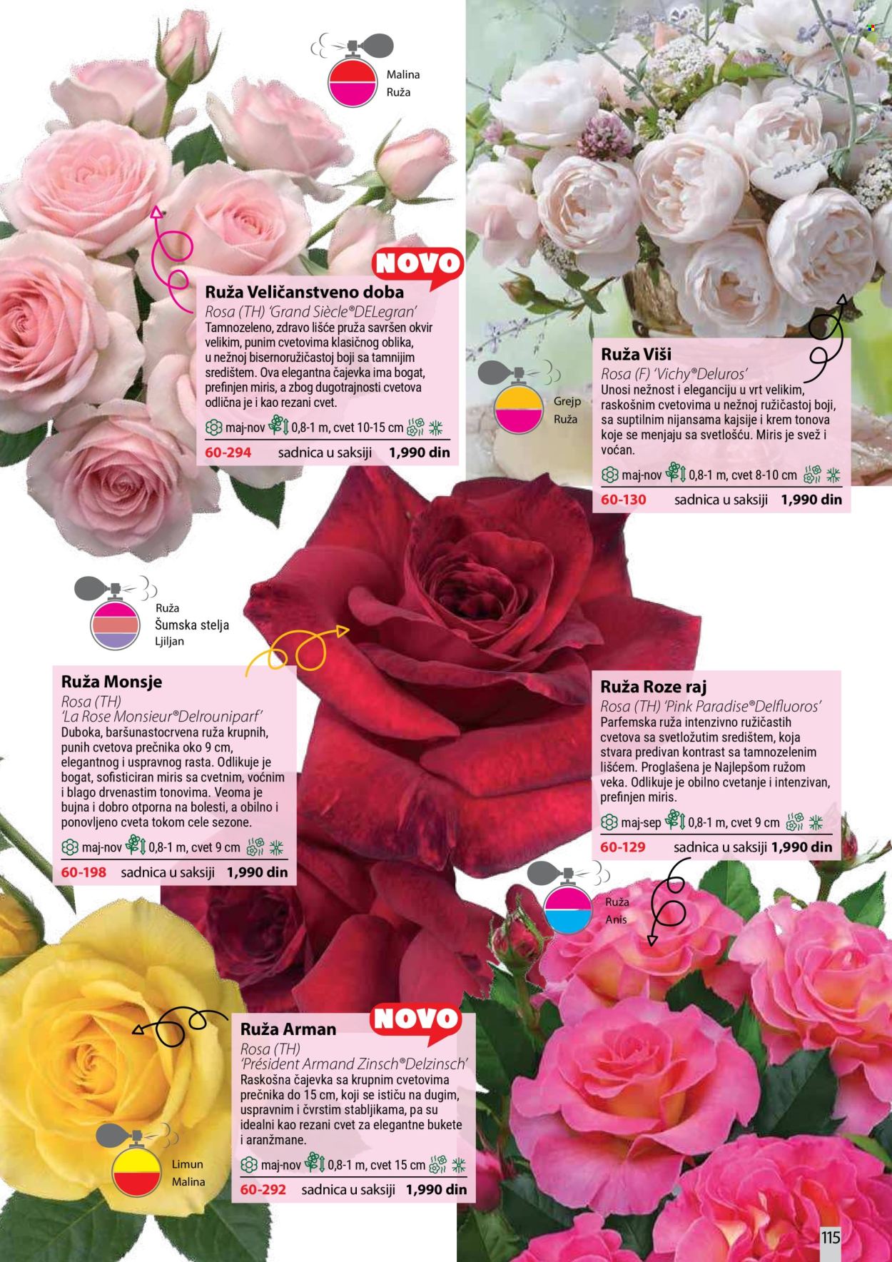 Flora Ekspres katalog. Stranica 115