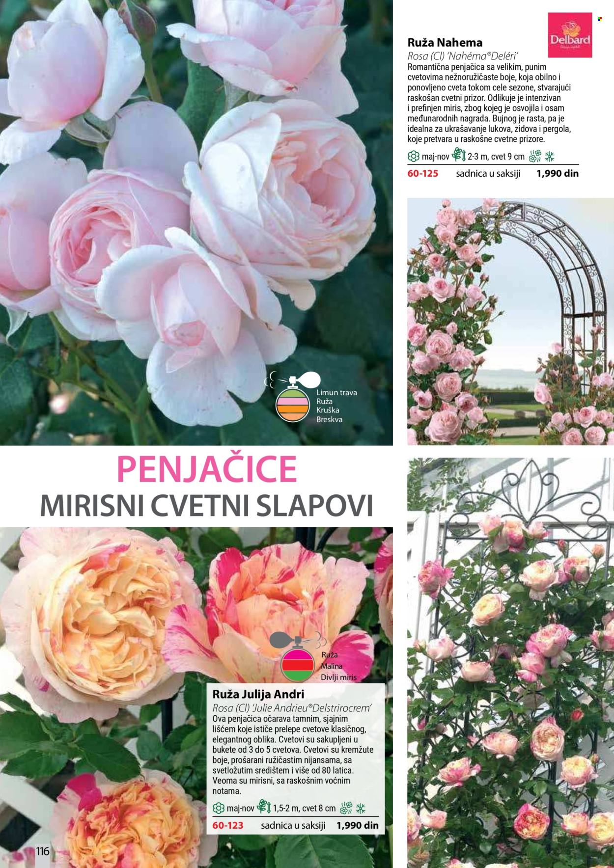Flora Ekspres katalog. Stranica 116