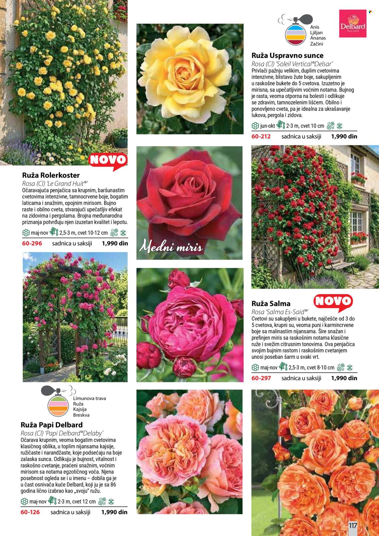 Flora Ekspres katalog. Stranica 117