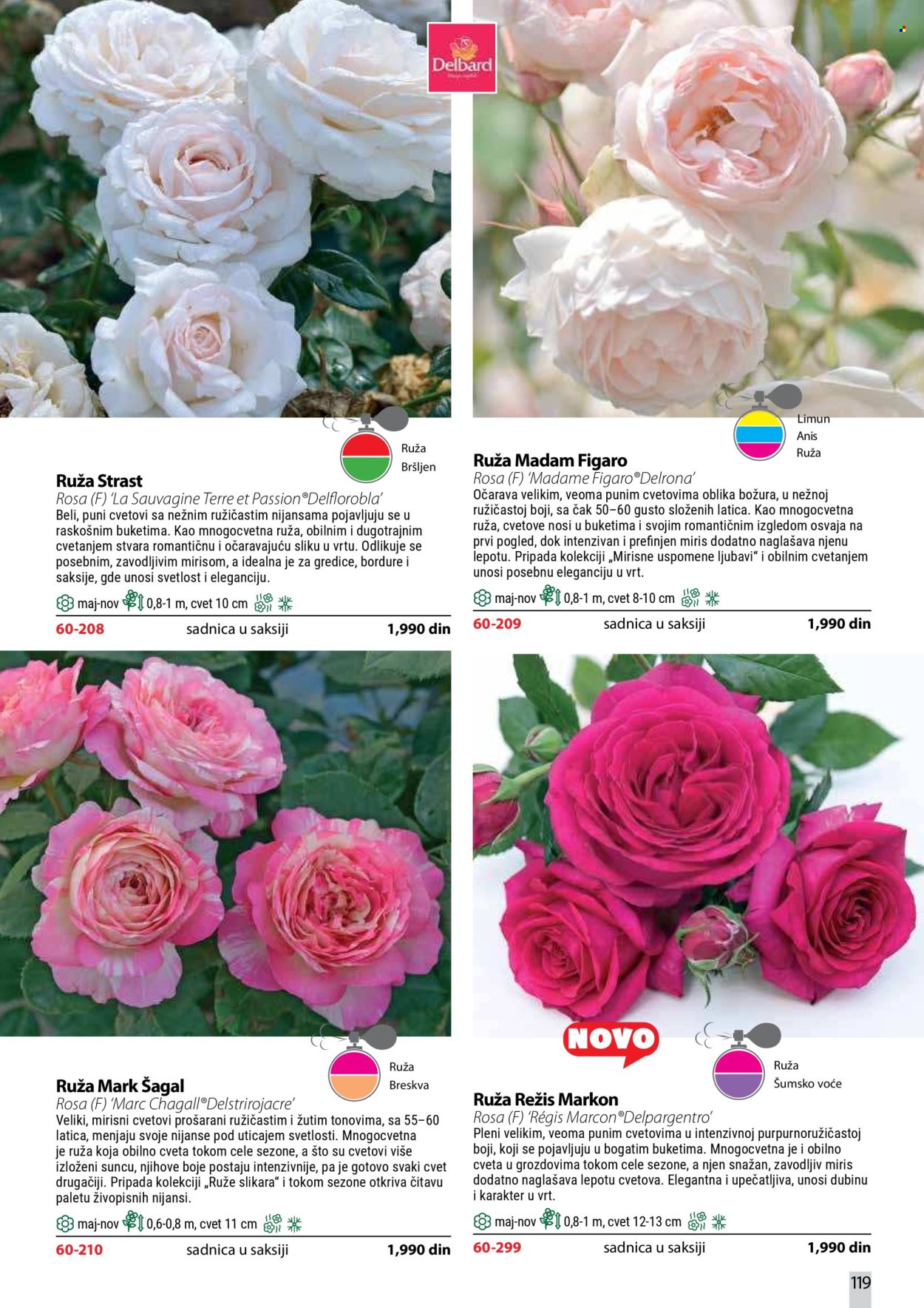 Flora Ekspres katalog. Stranica 119