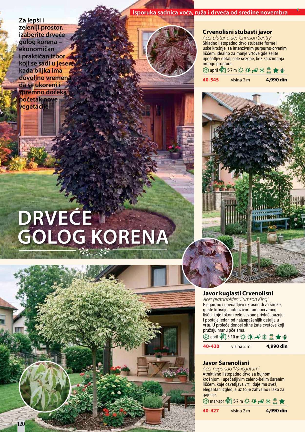 Flora Ekspres katalog. Stranica 120