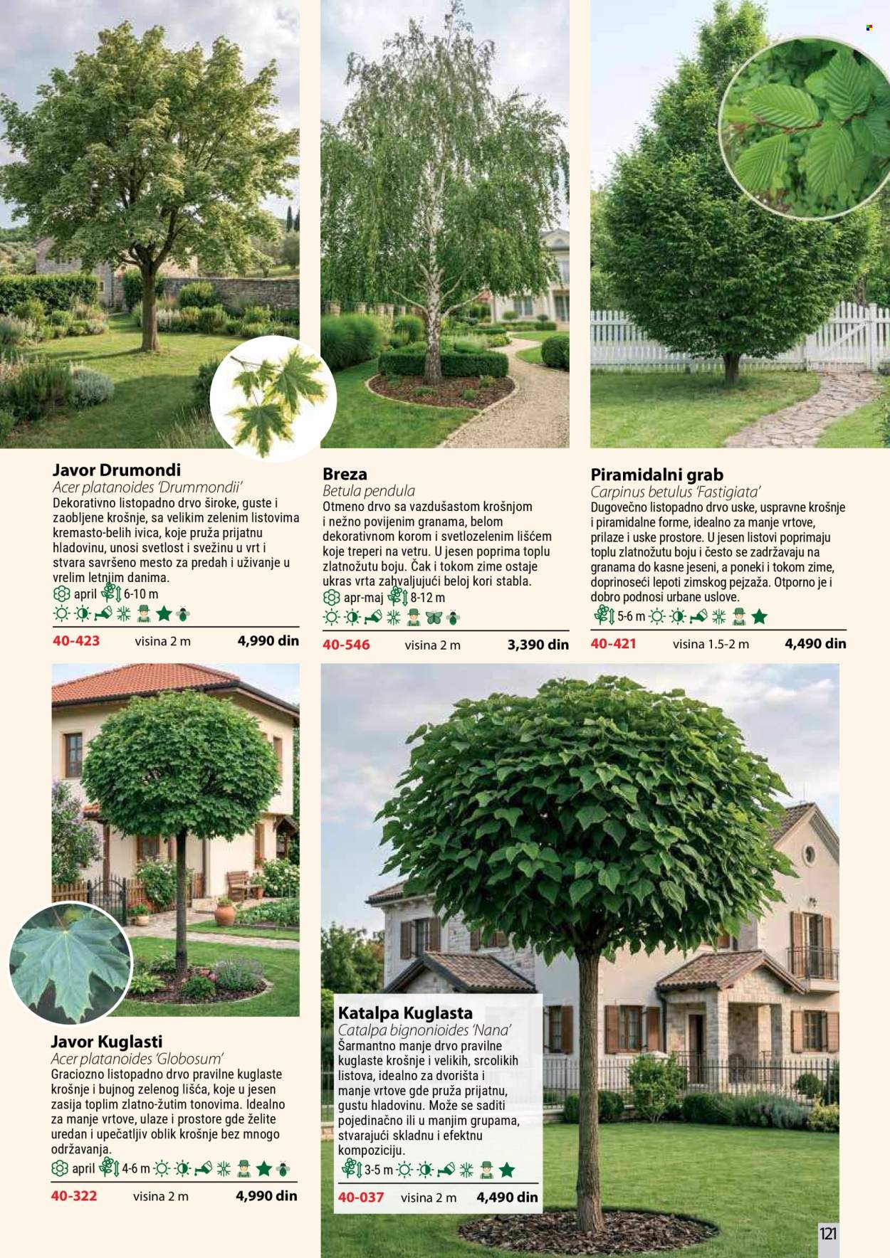 Flora Ekspres katalog. Stranica 121