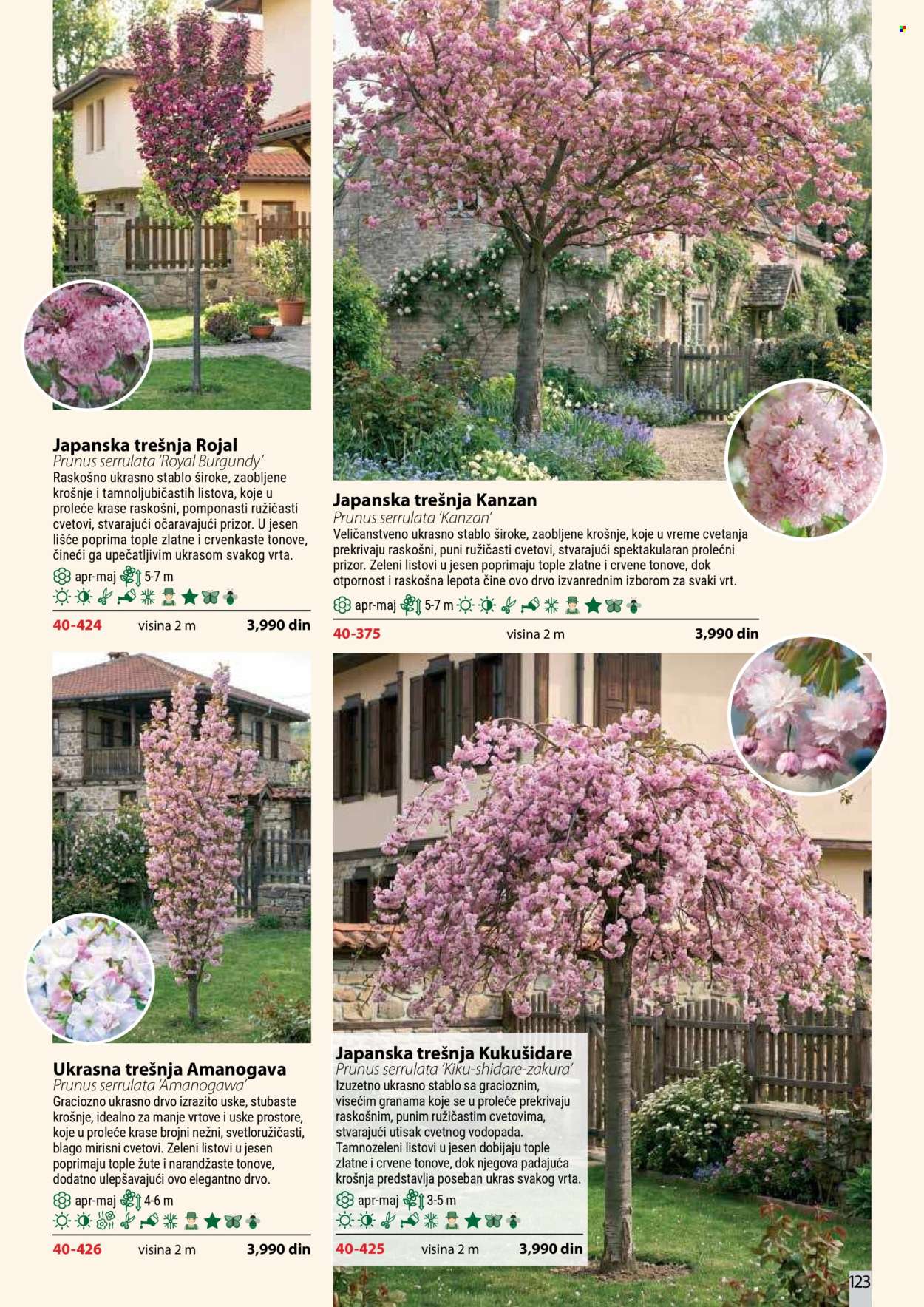 Flora Ekspres katalog. Stranica 123
