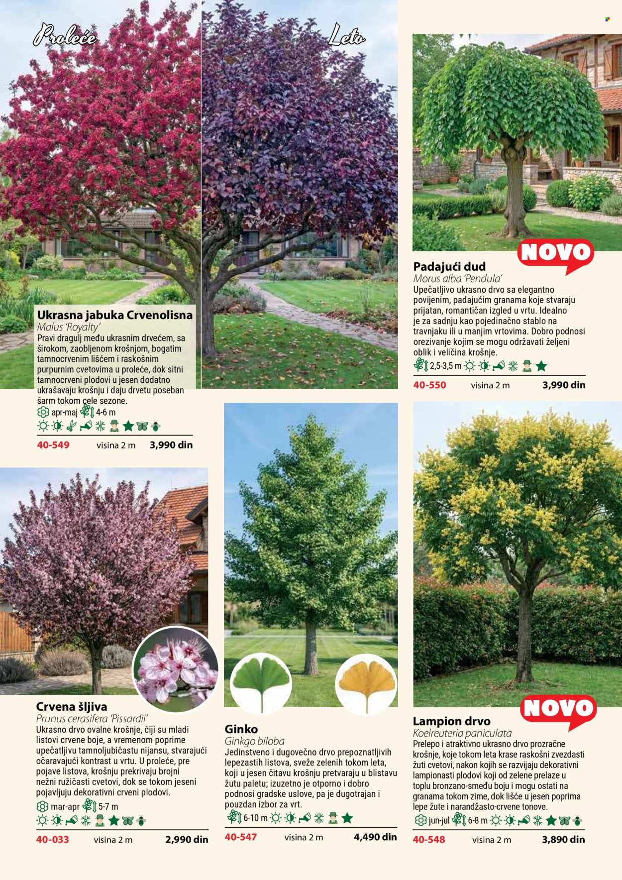 Flora Ekspres katalog. Stranica 124