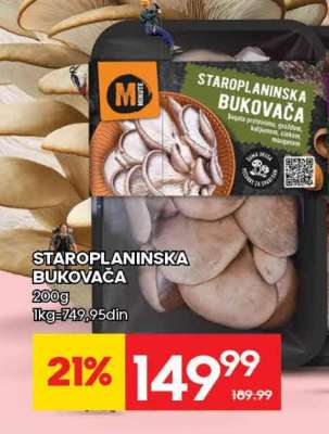 STAROPLANINSKA BUKOVAČA