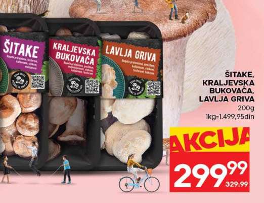 ŠITAKE, KRALJEVSKA BUKOVAČA, LAVLJA GRIVA