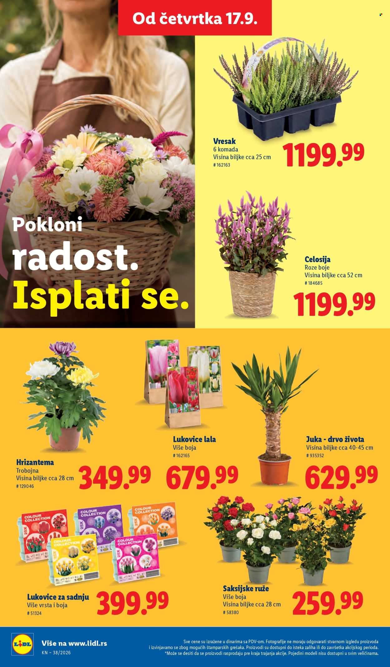 Lidl katalog - 17.09.2026 - 23.09.2026. Stranica 58