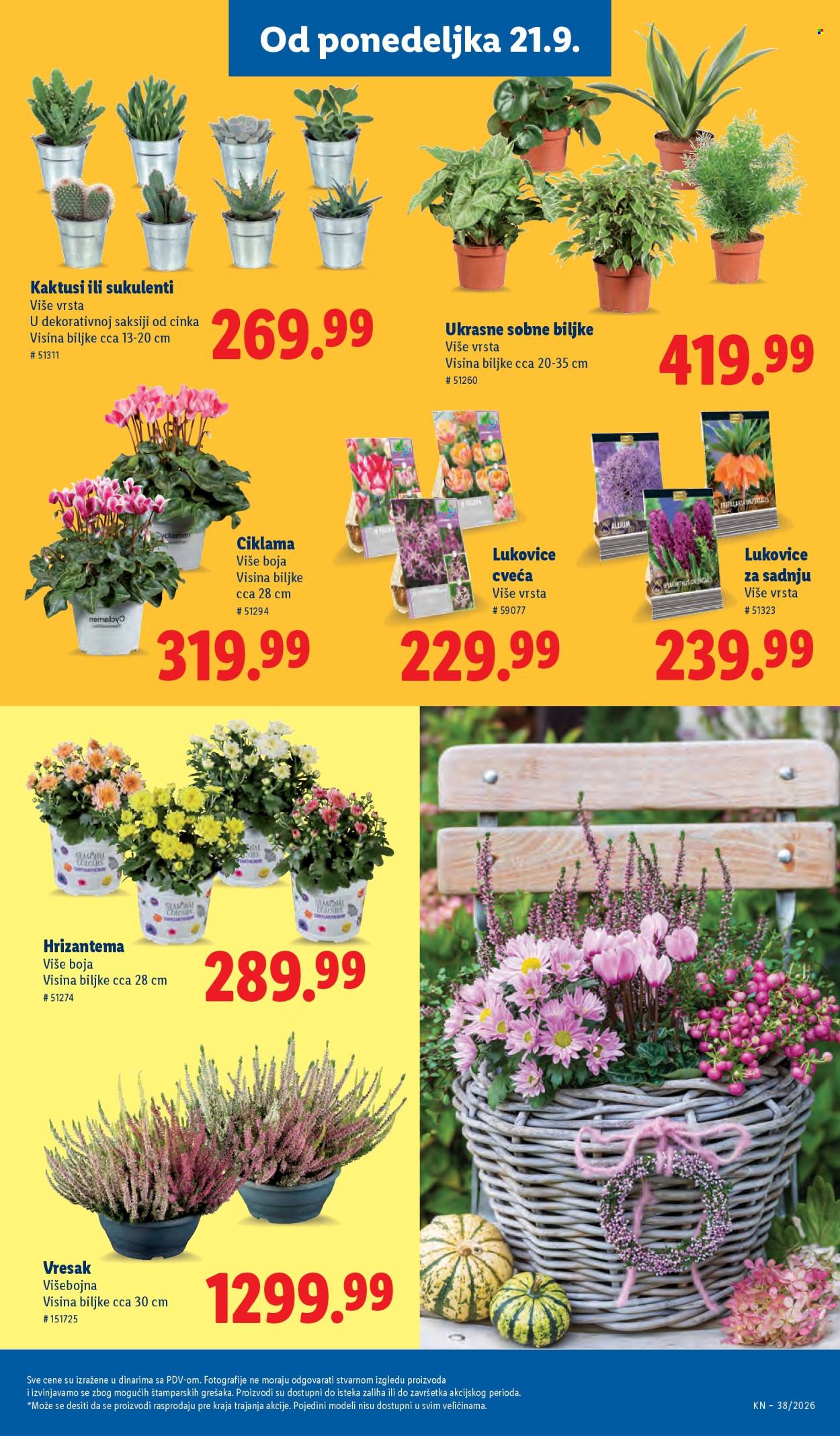 Lidl katalog - 17.09.2026 - 23.09.2026. Stranica 59