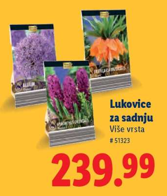 Lukovice za sadnju