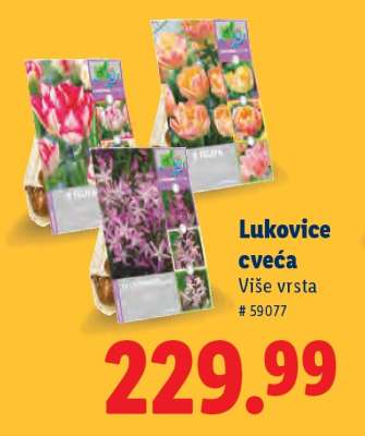 Lukovice cveća