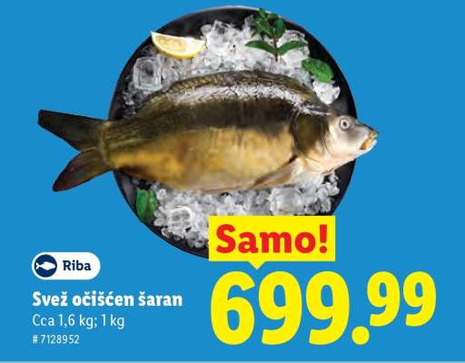 Svež očišćen šaran