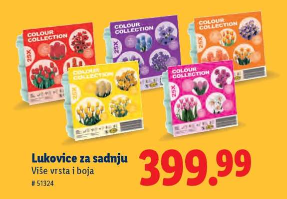 Lukovice za sadnju