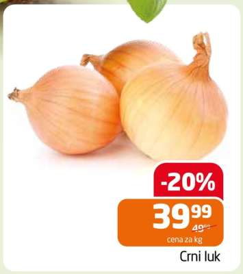 Crni luk