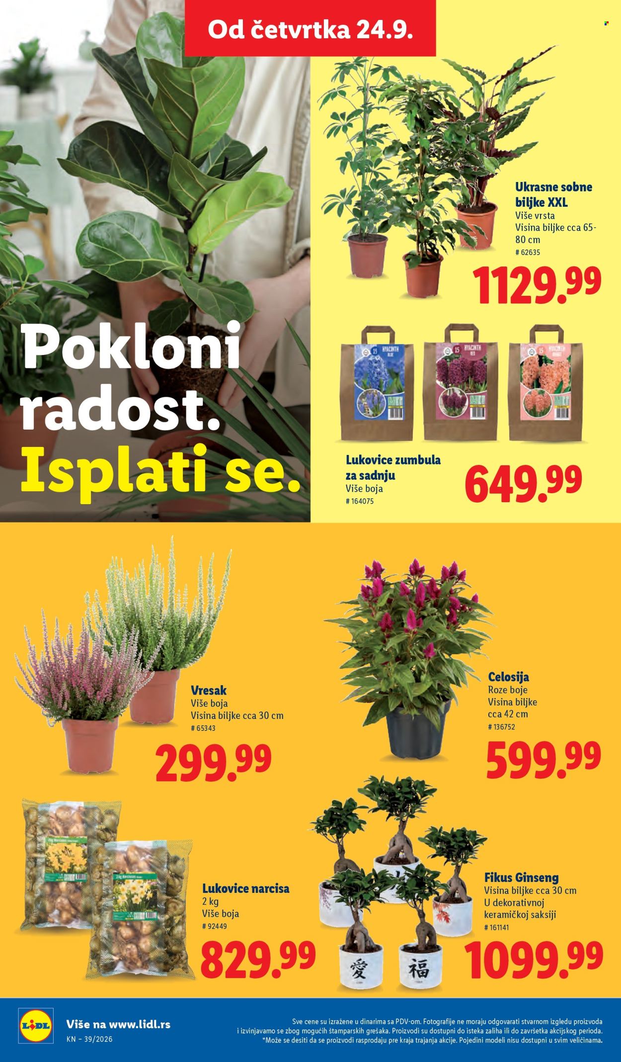 Lidl katalog - 24.09.2026 - 30.09.2026. Stranica 64