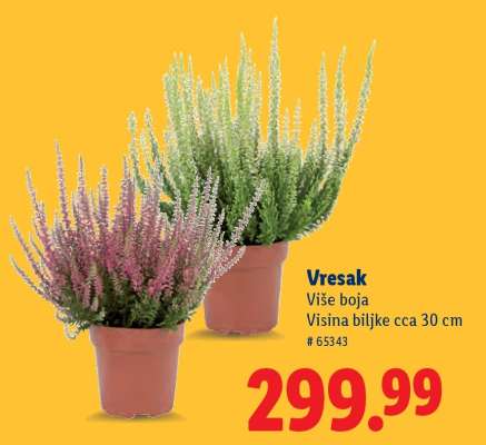 Vresak