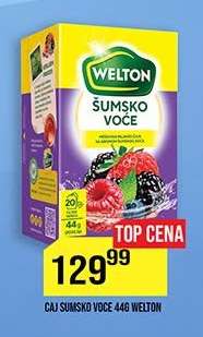 ČAJ ŠUMSKO VOĆE 44G WELTON